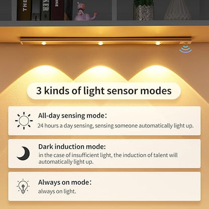 Motion Sensor LED Light